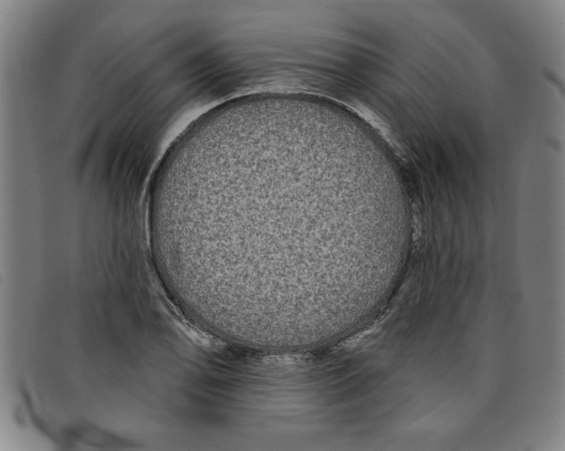 X0000097871078200804041545