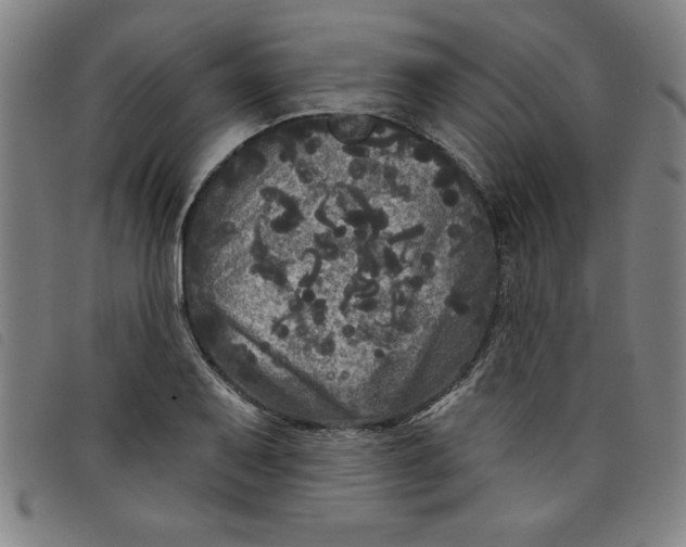 X0000097871079200804041545