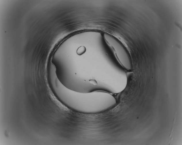 X0000097871080200804041545