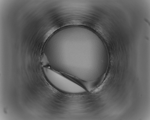 X0000097871081200804041545
