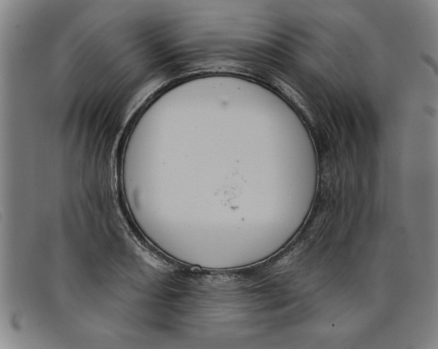 X0000097871082200804041545