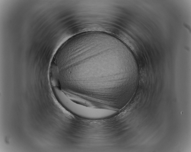X0000097871084200804041545