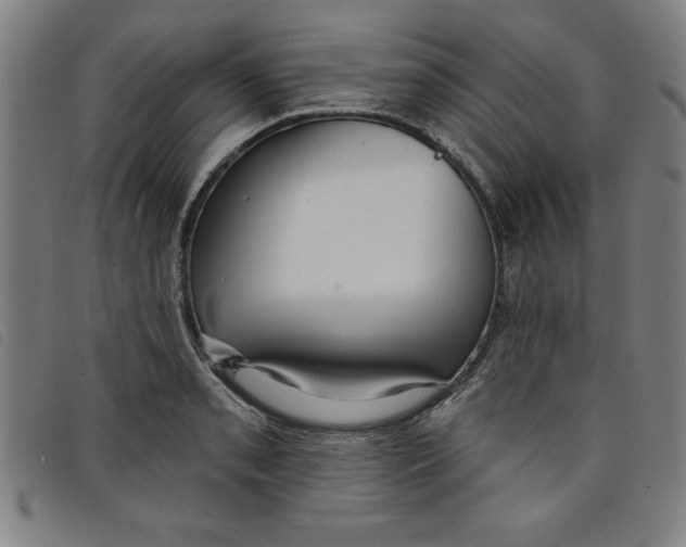 X0000097871085200804041545