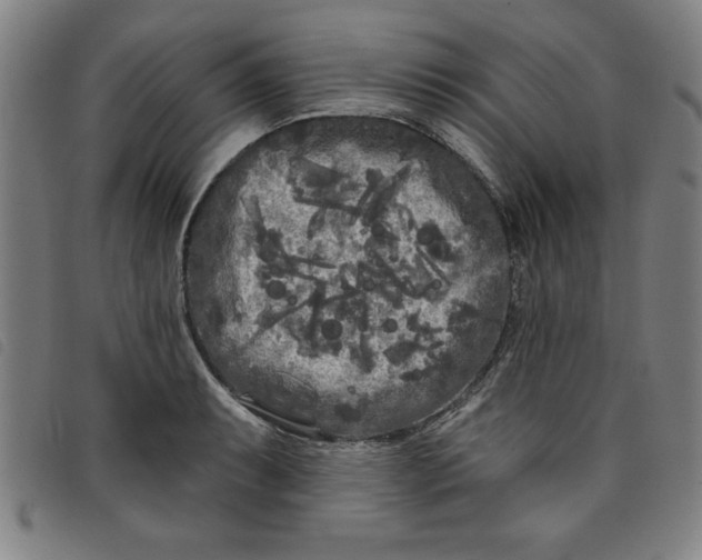 X0000097871087200804041545