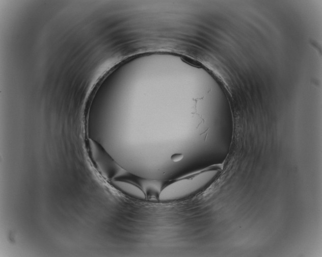 X0000097871088200804041545