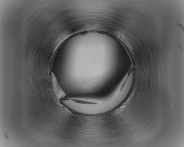 X0000097871089200804041545