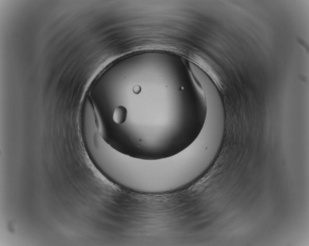 X0000097871092200804041545