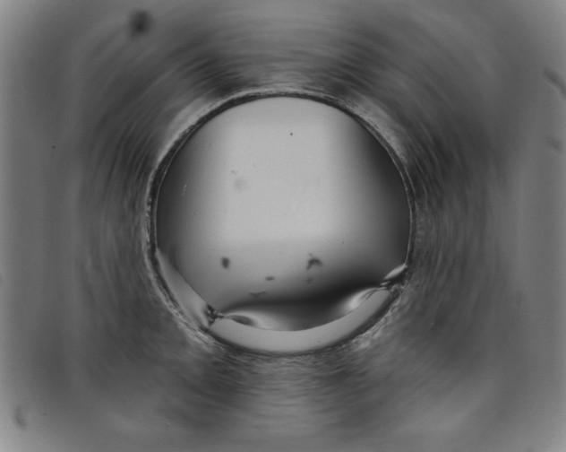 X0000097871093200804041545