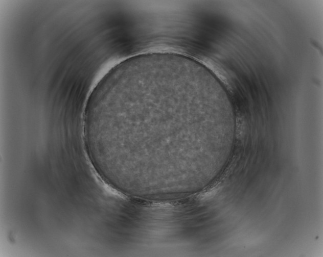 X0000097871094200804041545