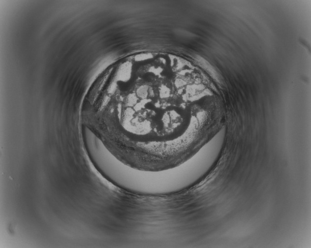 X0000097871095200804041545