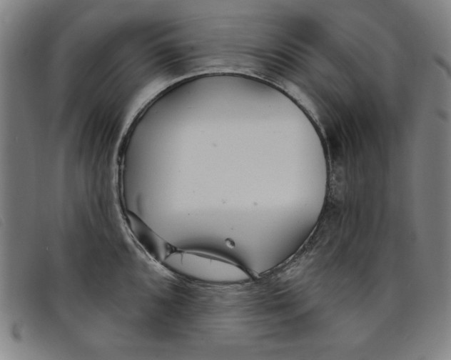 X0000097871096200804041545