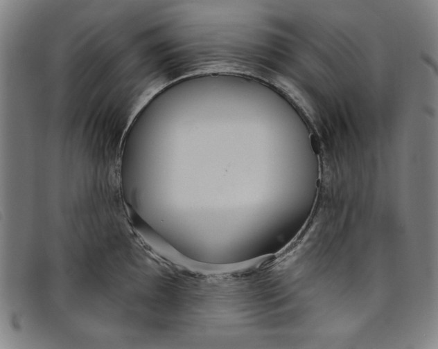 X0000097871097200804041545