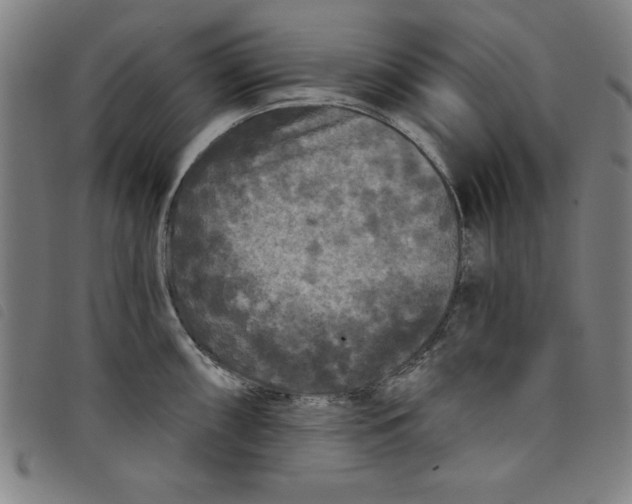 X0000097871098200804041545