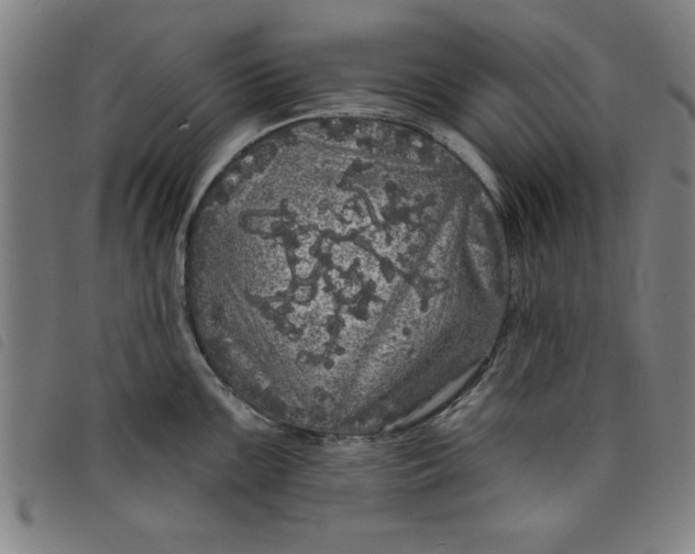 X0000097871099200804041545