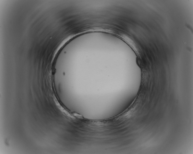 X0000097871100200804041545