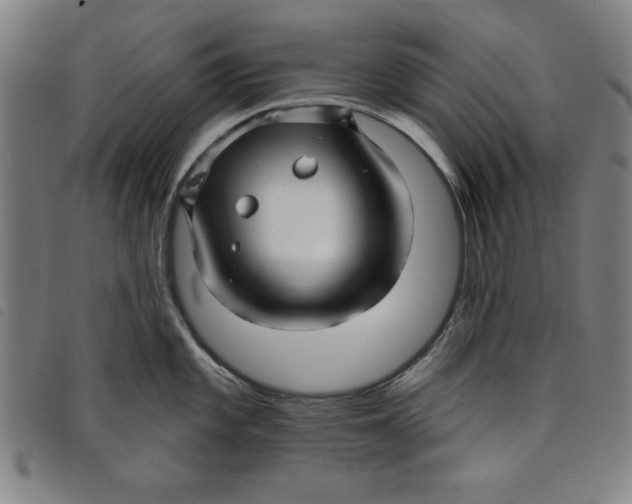 X0000097871101200804041545