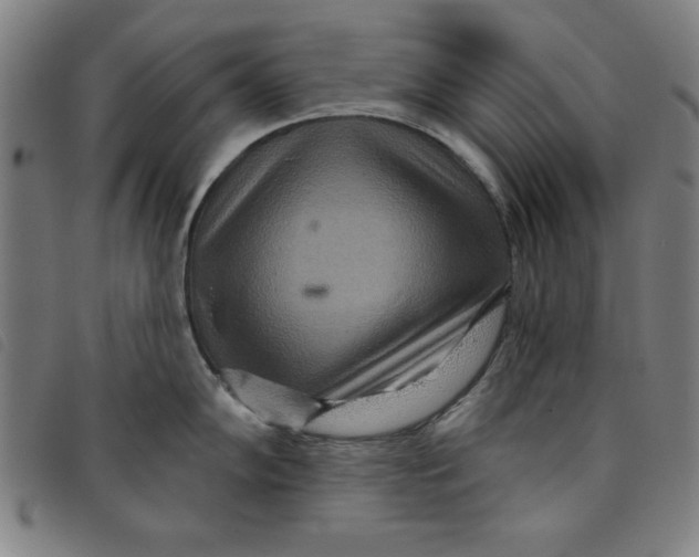 X0000097871102200804041545