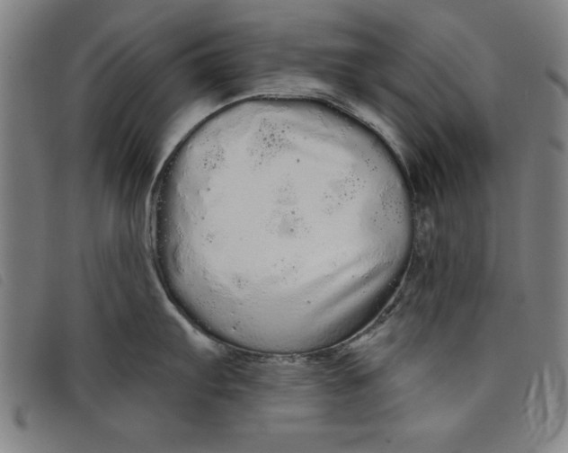 X0000097871103200804041545