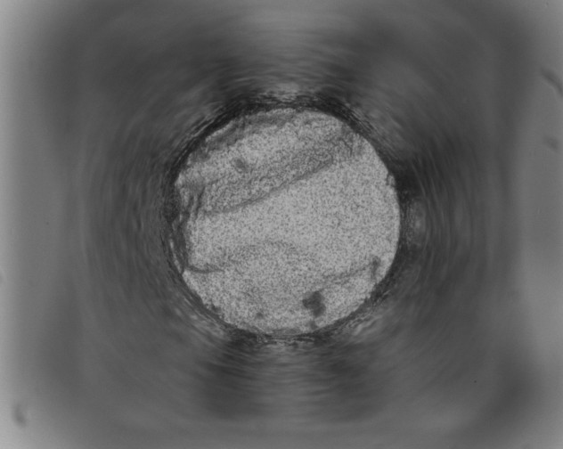 X0000097871105200804041544