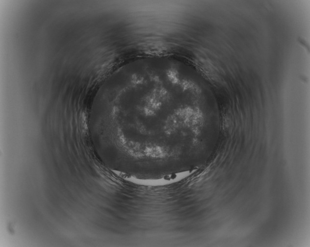 X0000097871106200804041544