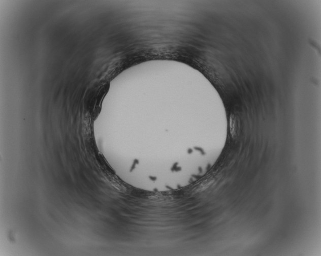 X0000097871107200804041544