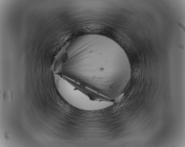 X0000097871108200804041544