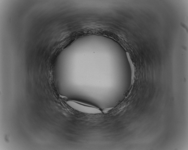 X0000097871109200804041544