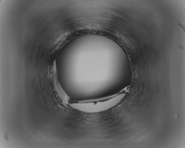 X0000097871110200804041544