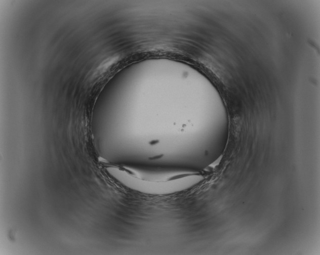 X0000097871111200804041544
