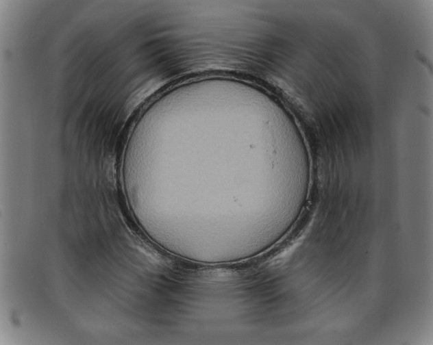 X0000097871113200804041544
