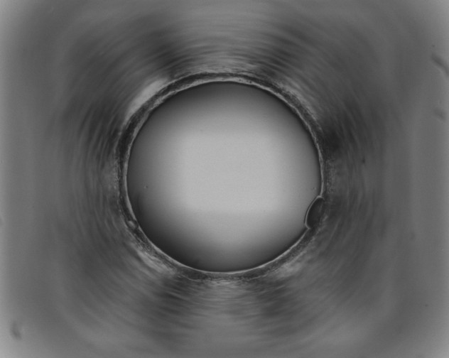 X0000097871114200804041545