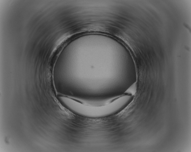 X0000097871115200804041545