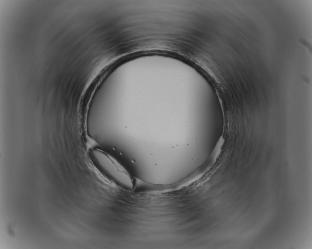 X0000097871116200804041545