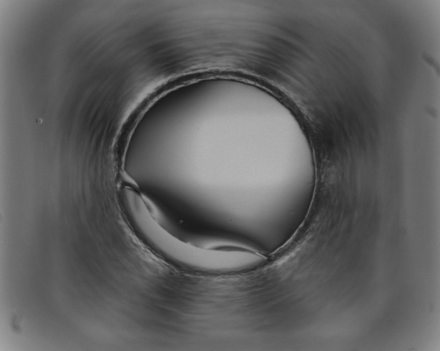 X0000097871118200804041545