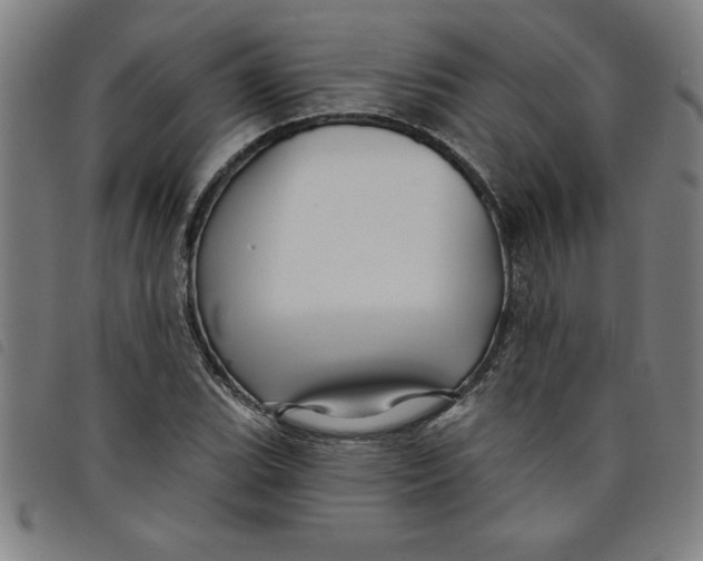 X0000097871119200804041545