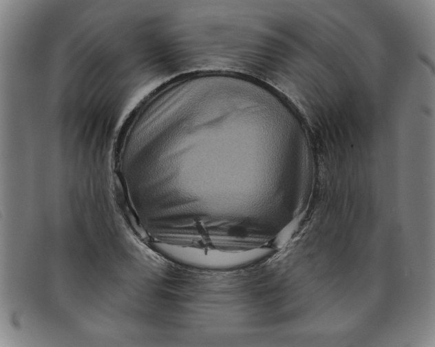 X0000097871120200804041545