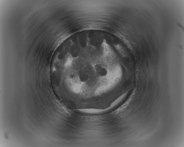 X0000097871121200804041545
