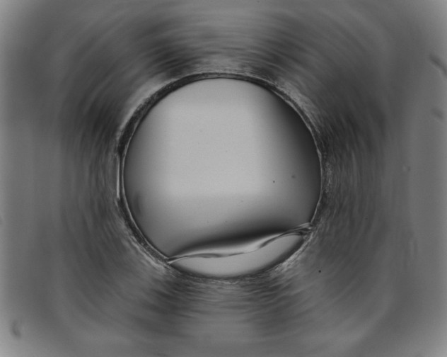 X0000097871123200804041545