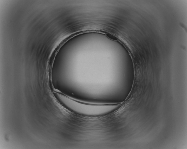 X0000097871124200804041545