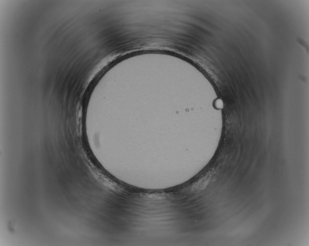 X0000097871126200804041545