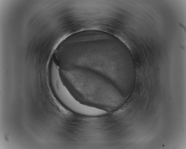 X0000097871127200804041545