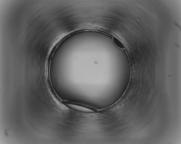 X0000097871128200804041545