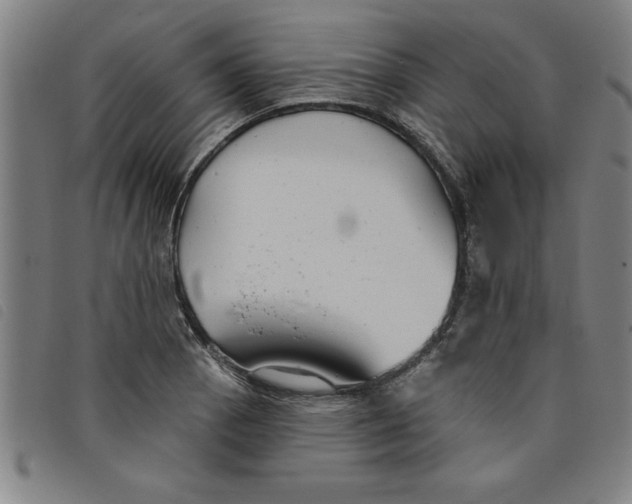 X0000097871129200804041545