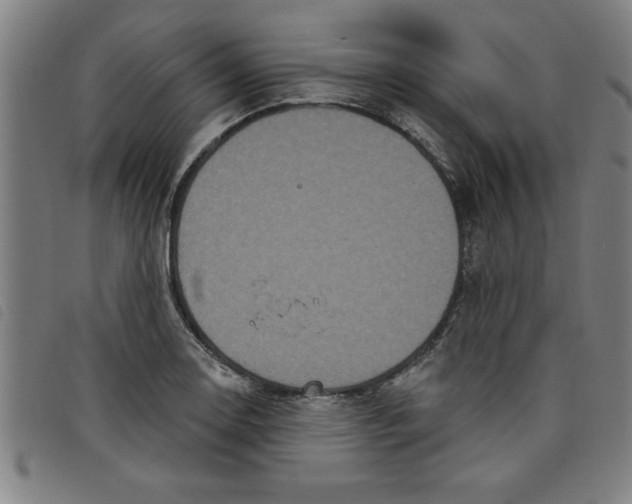 X0000097871130200804041545