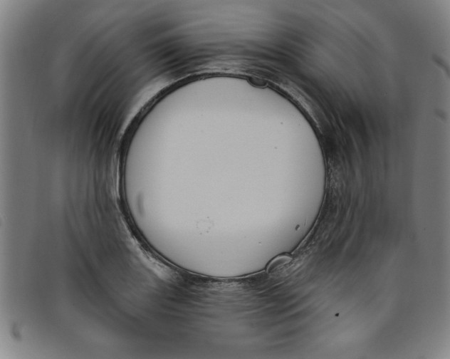 X0000097871131200804041545