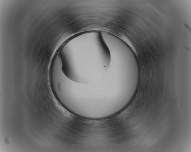 X0000097871132200804041545