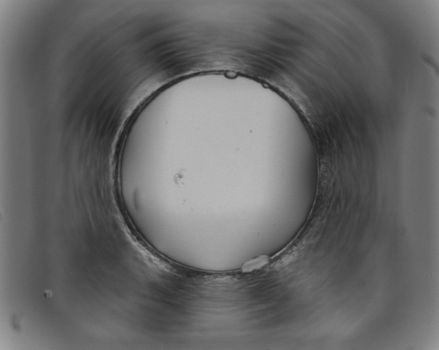 X0000097871135200804041545