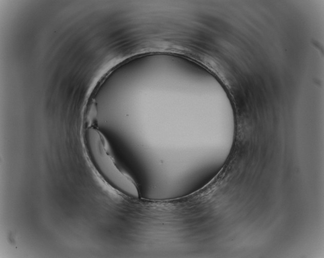 X0000097871136200804041545