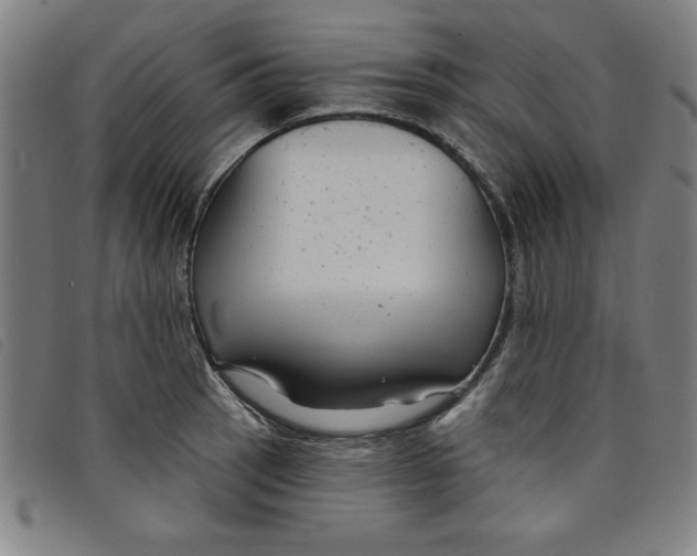 X0000097871137200804041545