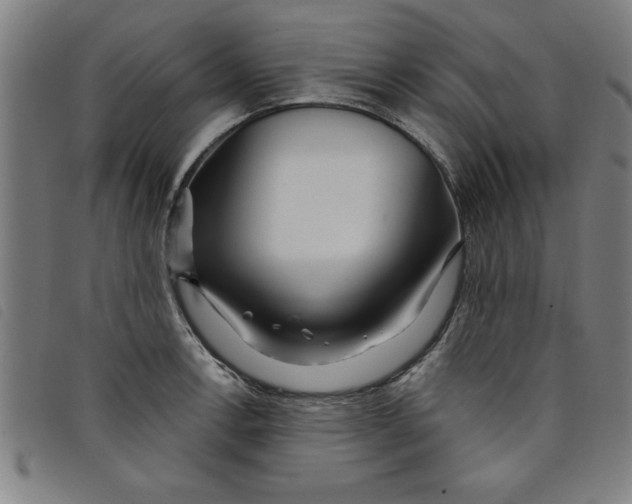 X0000097871138200804041545